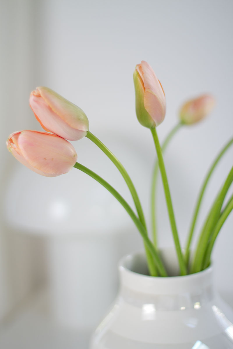 vase tulips spring flowers blog post on lifetime-pieces.com