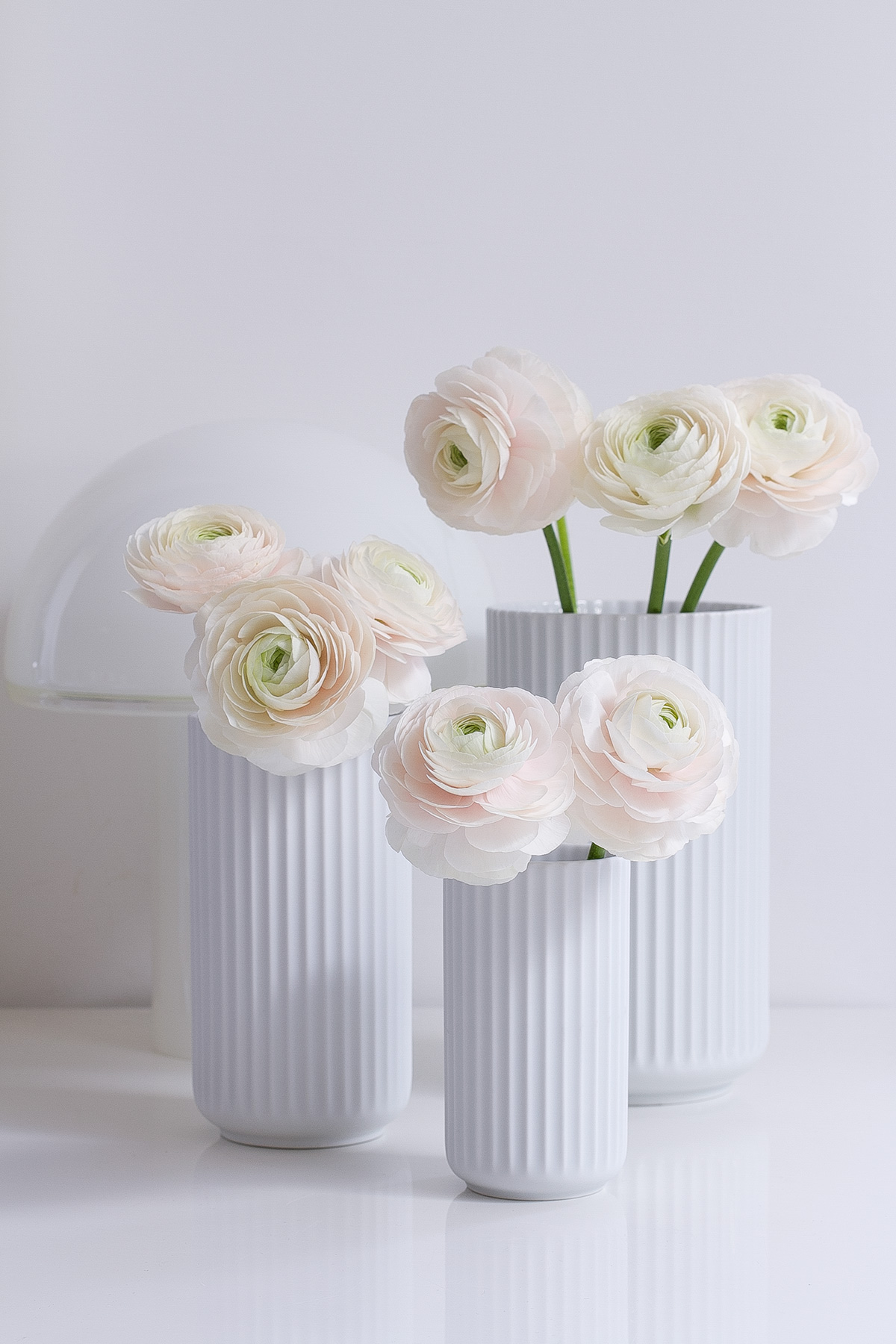 pink peonies in lybngby porcelain vases, spring flowers, blogpost Lifetimepieces.com