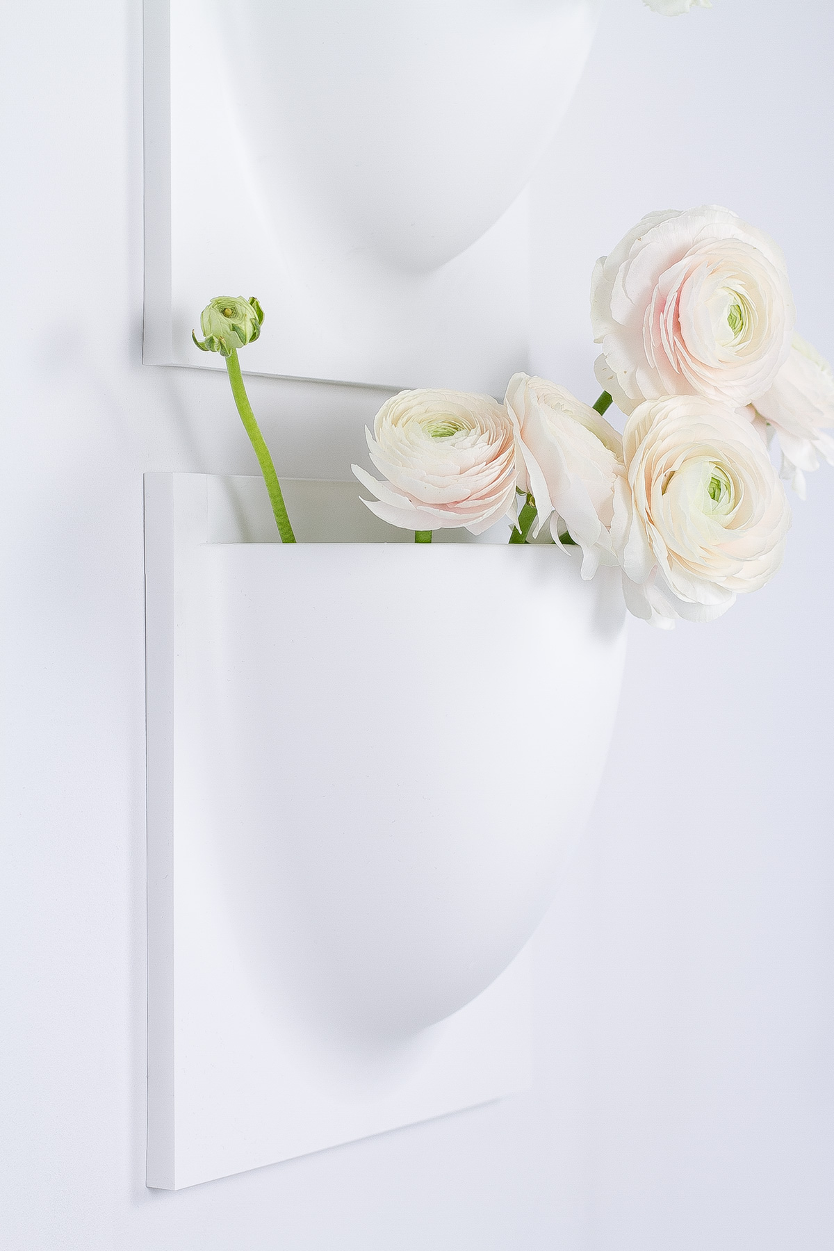 peonies and tulips in VertiPlants vases on the wall, spring flowers, blogpost Lifetimepieces.com