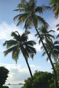 Kandima, green vKandima, palms, sand, boats, blue sky, blog post about Maldives on lifetime-pieces.comegetation, palms, sand, beach, blue sky, blog post about Maldives on lifetime-pieces.com