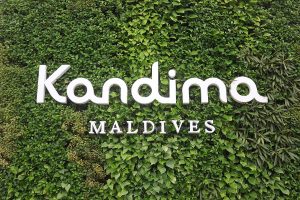 Kandima, Maldive islands, plant wall, vertical, plants, beach, palms, vegetatoin ,blog post about Maldives on lifetime-pieces.com