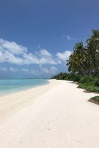 Kandima, palms, blue sky, beach, white sand, Indian Ocean, boats, blog post about Maldives on lifetime-pieces.com