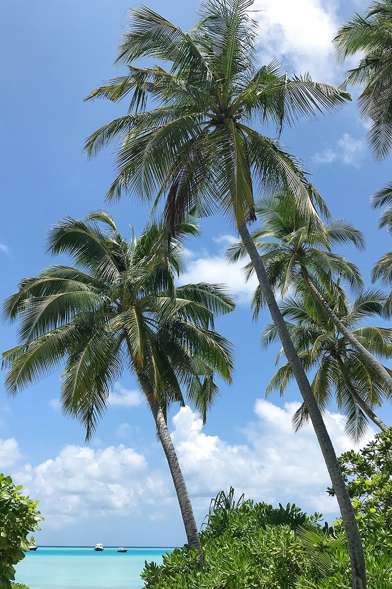 Kandima, palms, blue sky, beach, Indian Ocean, boats, blog post about Maldives on lifetime-pieces.com